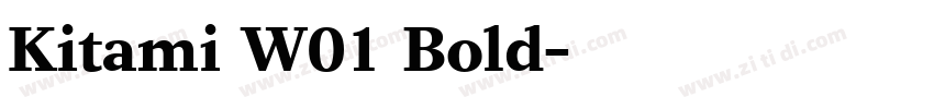 Kitami W01 Bold字体转换
